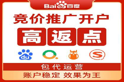 实战技巧：竞价推广案例解析与优化策略